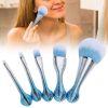 5pcs Makeup Brushes Set for Foundation, Eye Shadow, Blush