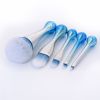 5pcs Makeup Brushes Set for Foundation, Eye Shadow, Blush